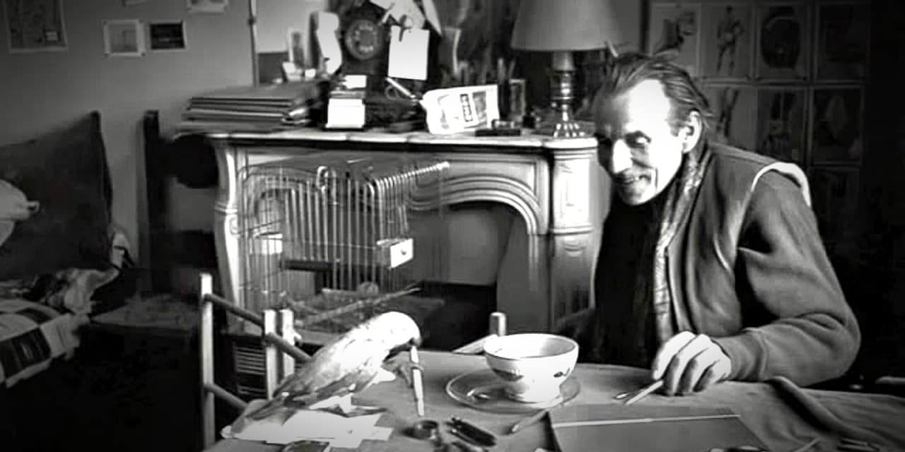 From Doctor to Céline: The Anguish Behind 